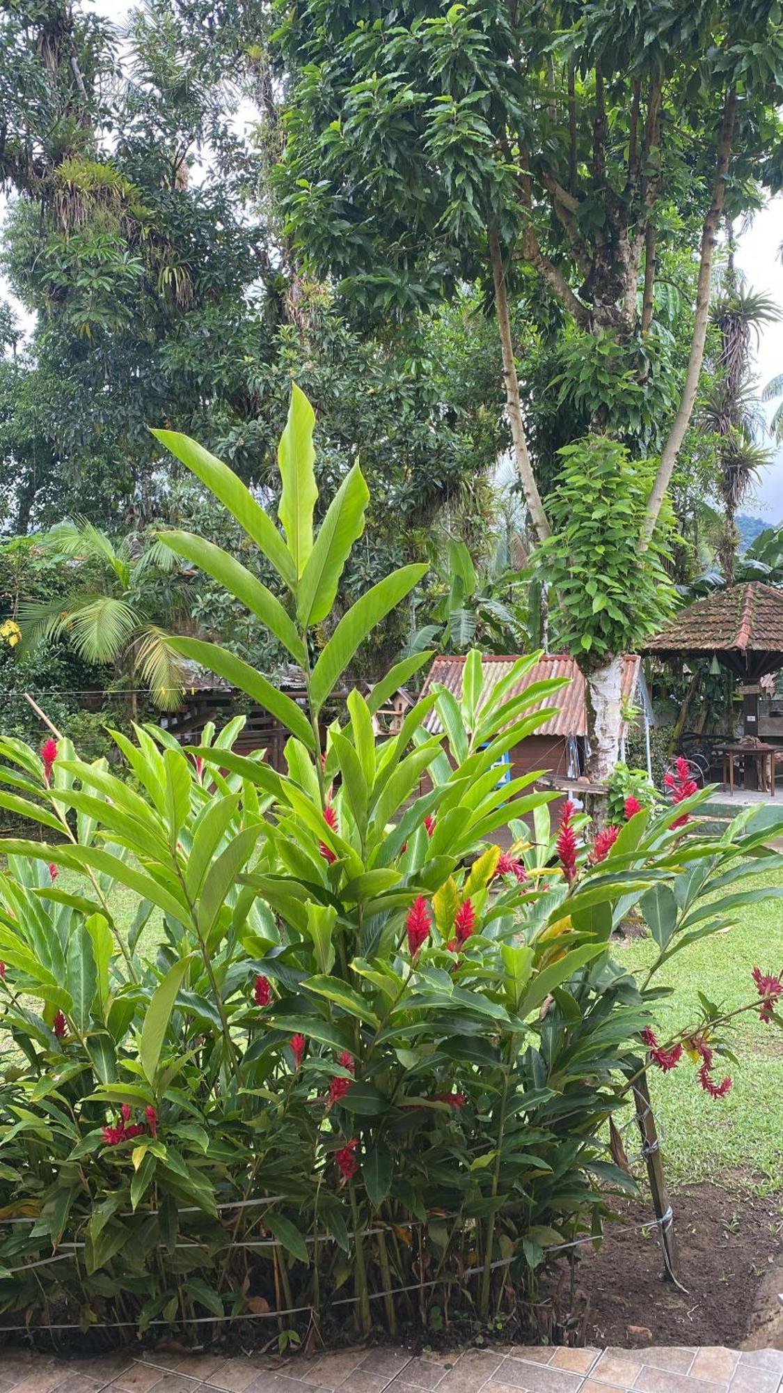 莫雷蒂斯Pousada Siroba Beira Rio公寓 外观 照片